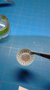 IMG_20160624_153745248.jpg