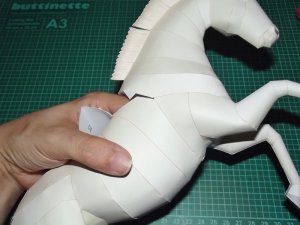 DSCF3369.jpg