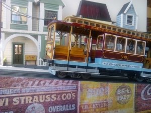 IMG_20160715_111021.jpg