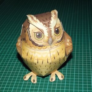 DSCF3914.jpg
