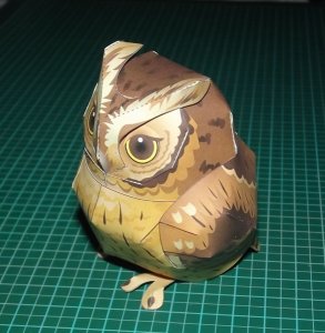 DSCF3918.jpg