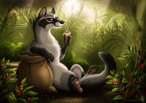 kopi_luwak_by_tanidareal-d5xp0hp.jpg