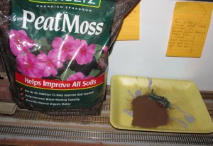 A44a 8-5-16 peatmoss a.jpg