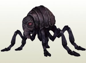 lava flea.jpg