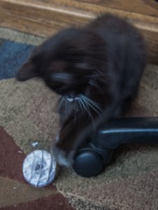 20160825_6991 (480x640).jpg
