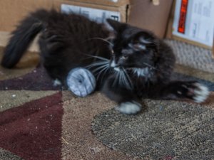 20160825_6994 (640x480).jpg