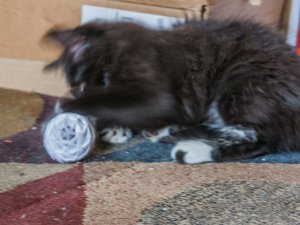 20160825_6995 (640x480).jpg