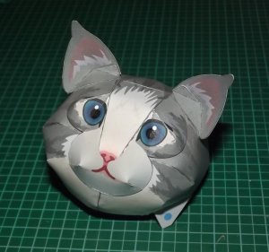DSCF6629.jpg