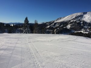 IMG_1783.jpg