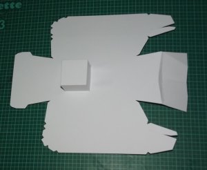 DSCF7438.jpg
