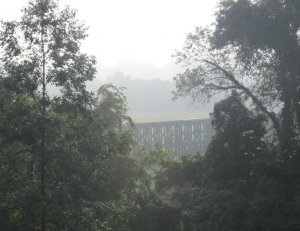 A44a 8-3-16 fog.jpg