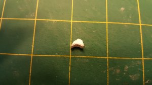 20161222_144348.jpg