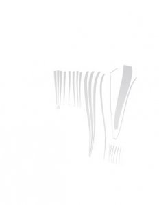 Unroll_Vorch-1a.jpg