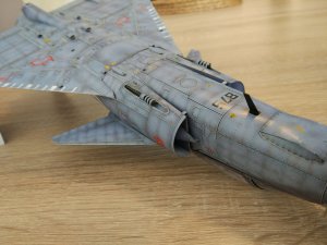 Kfir111.jpg