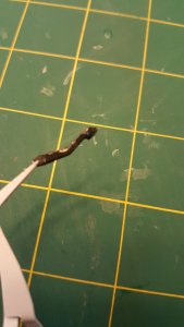 20170317_115944.jpg