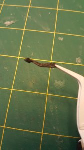 20170317_115954.jpg