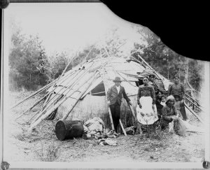 ojibwe_bark_lodge_1880.jpg