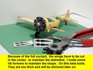a20.JPG
