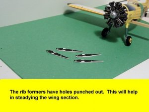 a21.JPG