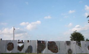 tin fence1.jpg