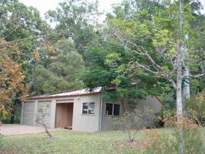 Shed03.jpg