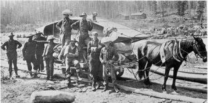 tram line loaded.jpg