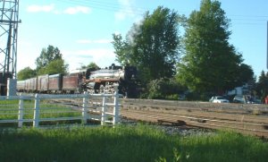 CP2816-1.jpg