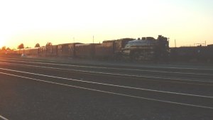 CP2816-4.jpg