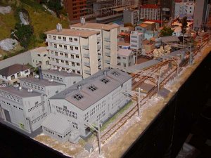 P6060635m.jpg