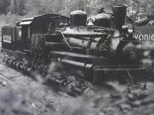 willamette2.jpg