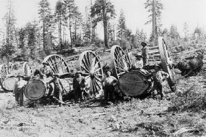 logwheel.jpg