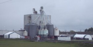 feed elevator 1.jpg