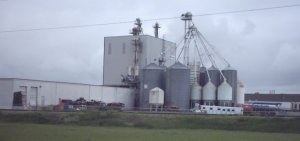 feed elevator 2.jpg