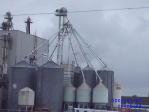 feed elevator 3.jpg