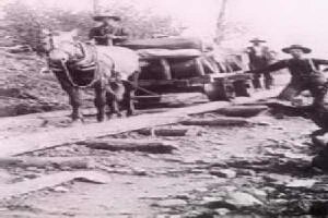 tram line.jpg