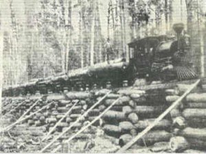 LoggingLineTrestleNearFarwellMI.jpg