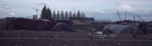 train graveyard.jpg