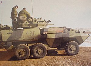 Cougar On Firing Line.jpg