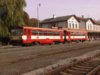 DSC81.jpg