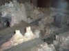 Jul09039.JPG