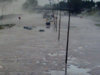Whitemud5.jpg