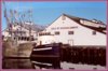front of cannery.jpg