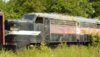 Winslow71704G31.jpg
