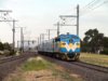 West Coast S311_small.jpg