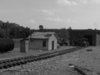 jbbv yard 4.JPG