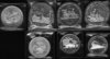 monedas.jpg