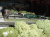 Mvc-005s.jpg