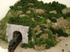 DSC01087.JPG