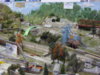 DSC00654.JPG