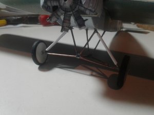 20190721_115447.jpg